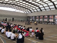 IMG_2356[1]